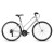 RIDGEBACK MOTION o/f HYBRID CYCLE