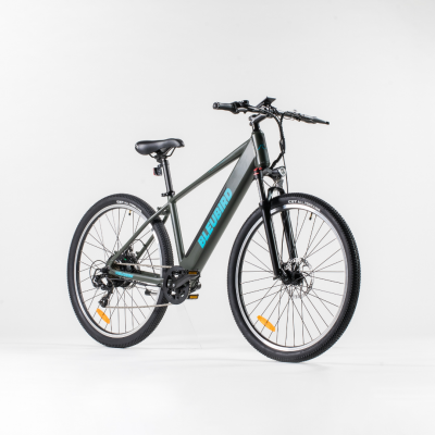 Bleubird Summit E-Bike