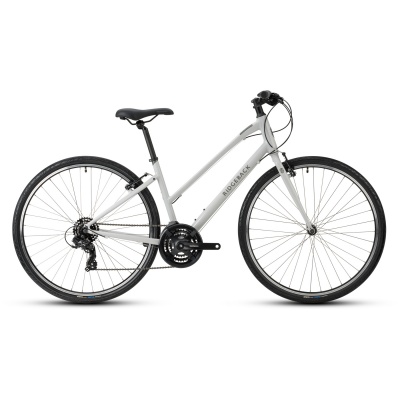 RIDGEBACK MOTION o/f HYBRID CYCLE